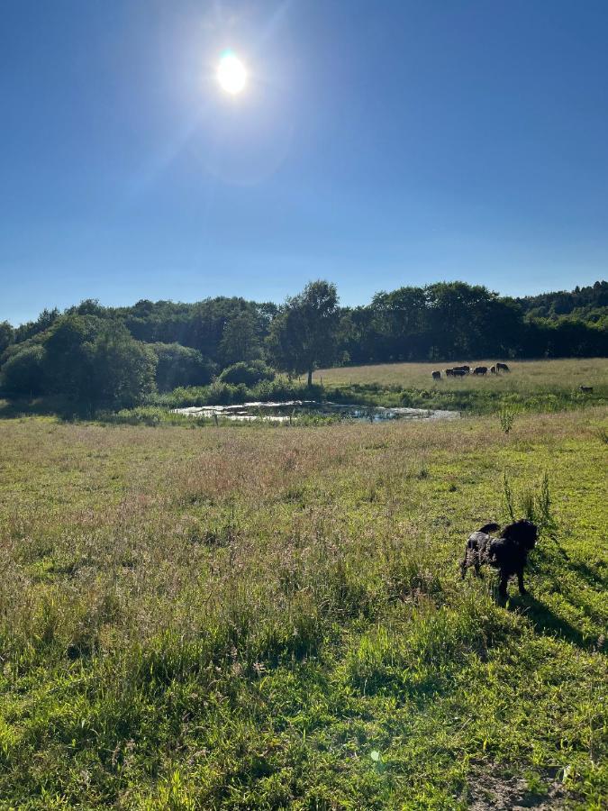 Gaestfri Overnatning Gjern Esterno foto
